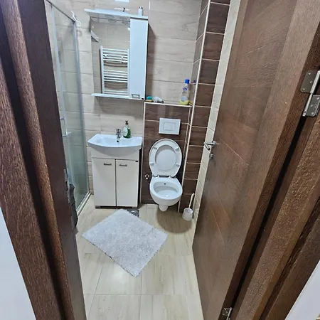 Apartament Bisevac *